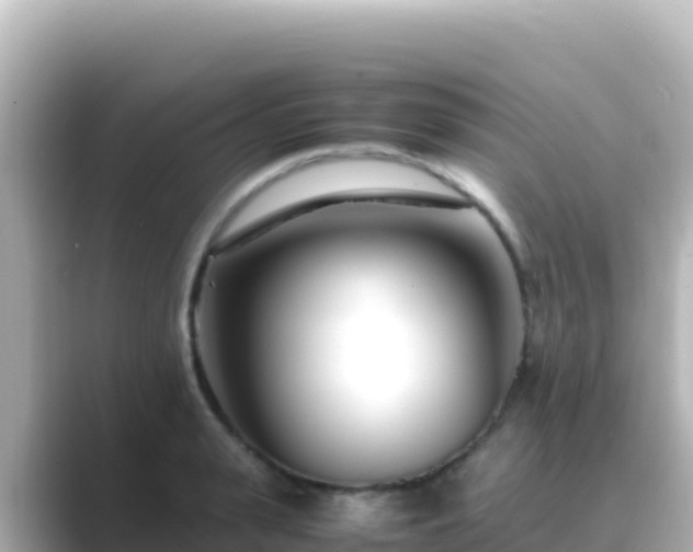 X0000089430943200706221209