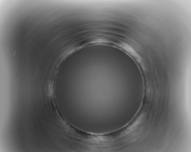 X0000089430945200706221209