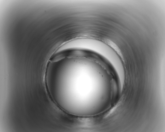 X0000089430946200706221209