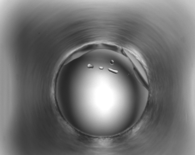 X0000089430952200706221209