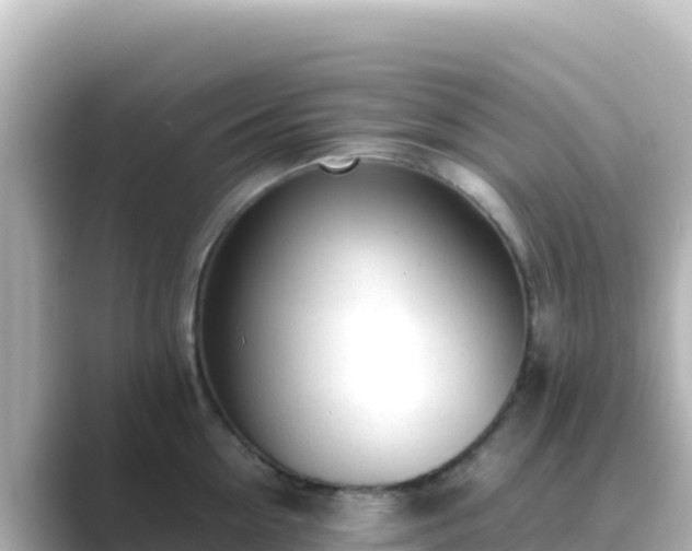 X0000089430954200706221209