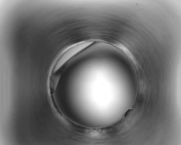 X0000089430955200706221209