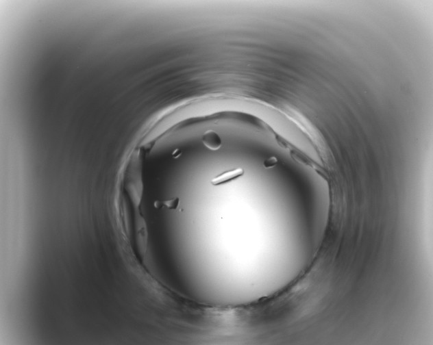 X0000089430956200706221209