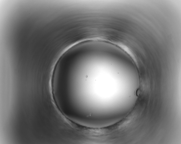 X0000089430959200706221209