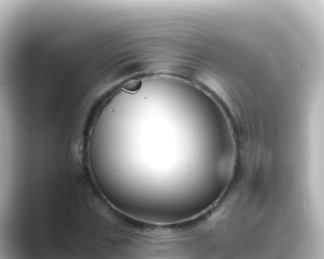 X0000089430971200706221208