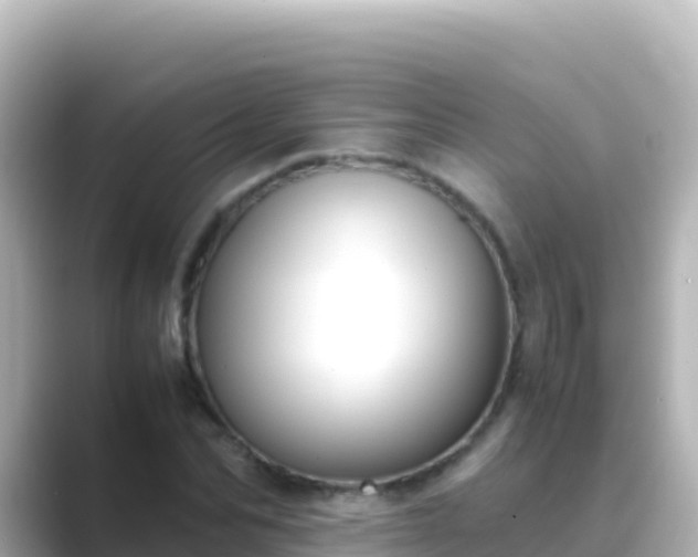 X0000089430974200706221208