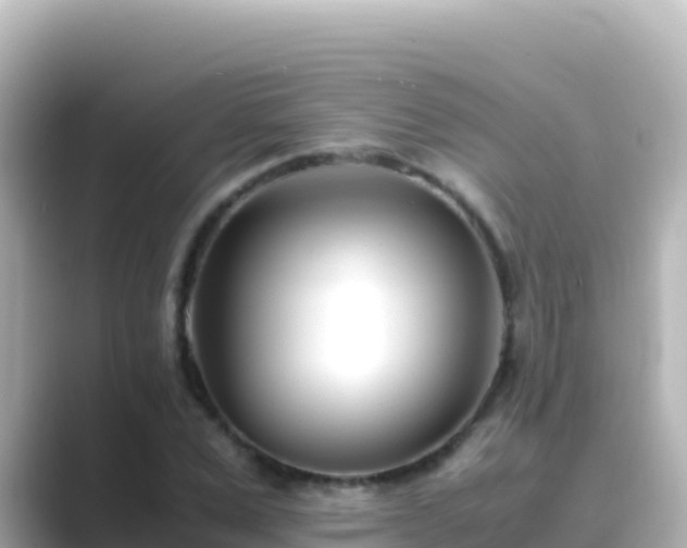 X0000089430975200706221208