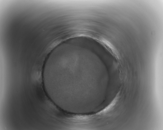 X0000089430977200706221208