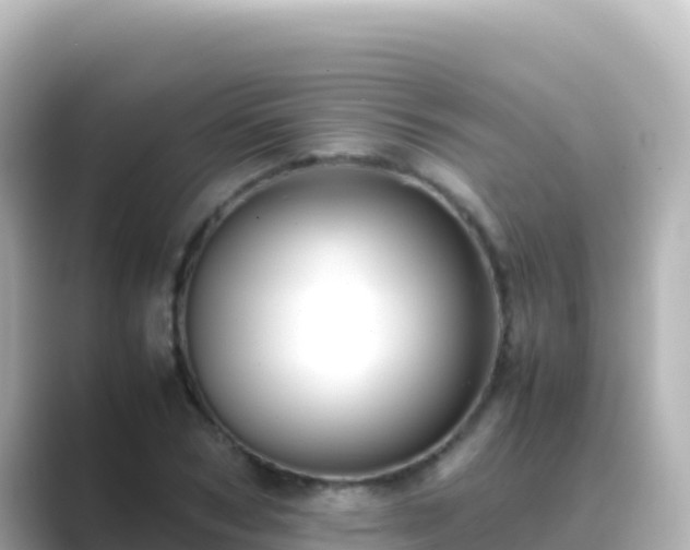 X0000089430978200706221208