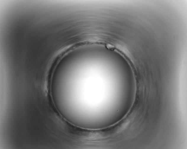 X0000089430979200706221208