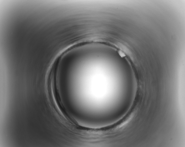 X0000089430981200706221208