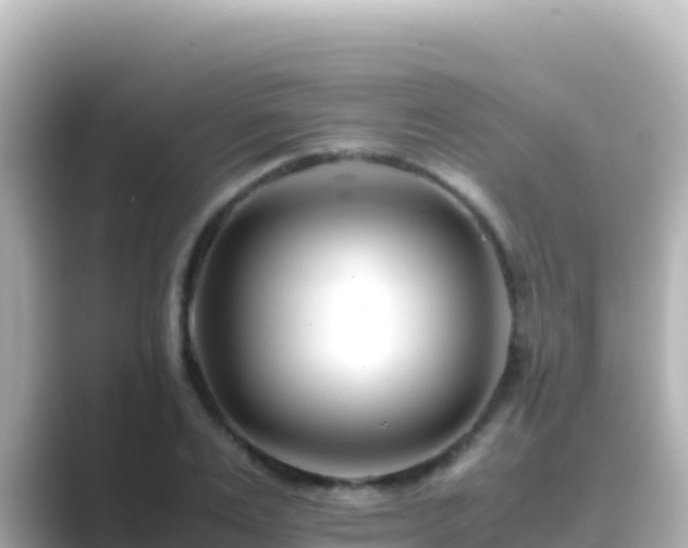 X0000089430983200706221208