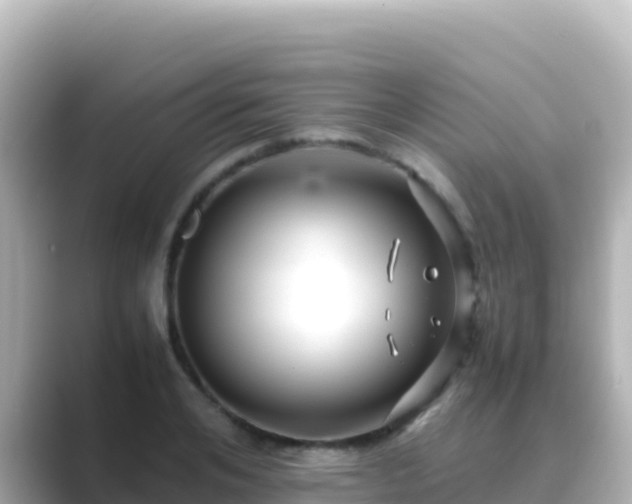 X0000089430984200706221208