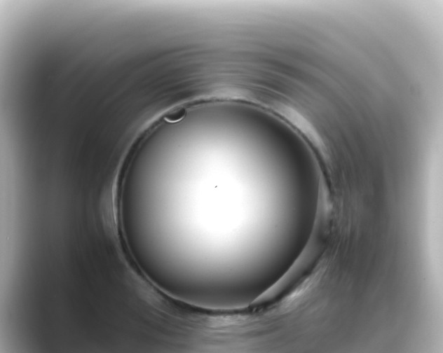 X0000089430988200706221208