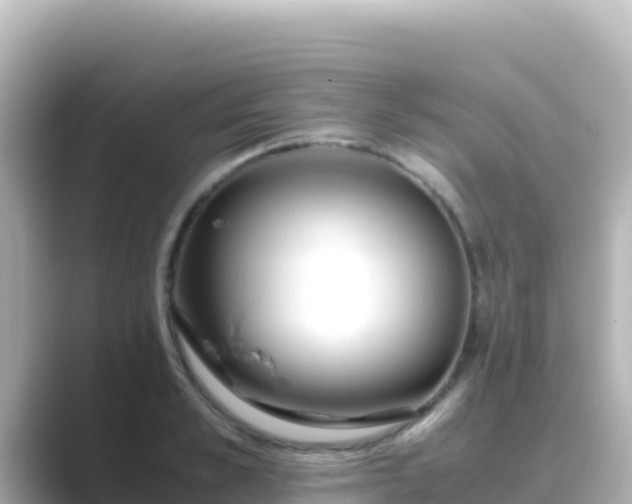 X0000089430989200706221208