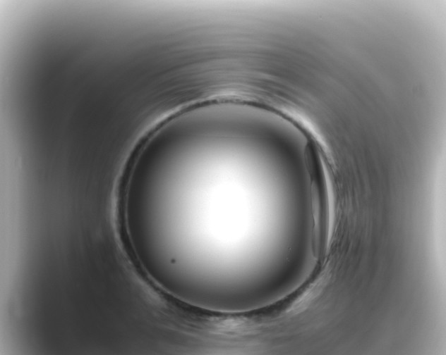 X0000089430991200706221208