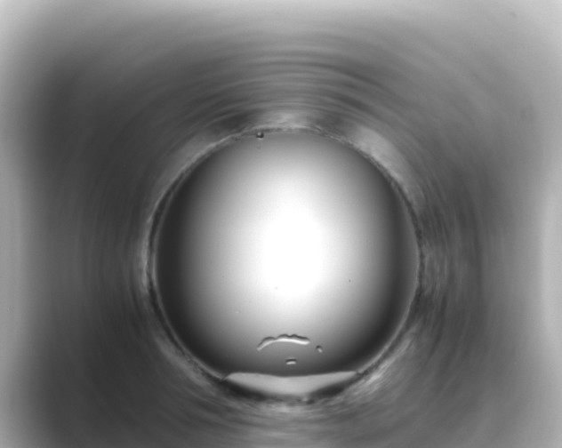 X0000089430994200706221208