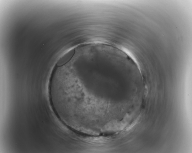 X0000089430995200706221208