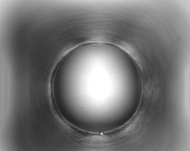 X0000089430998200706221208