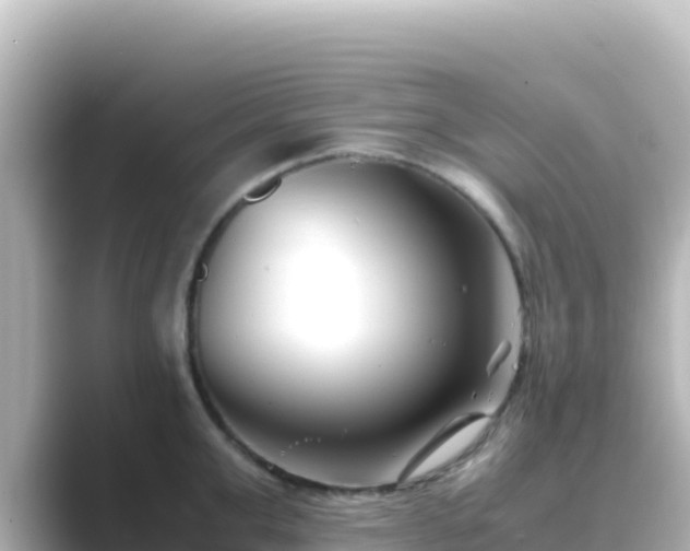 X0000089430999200706221208