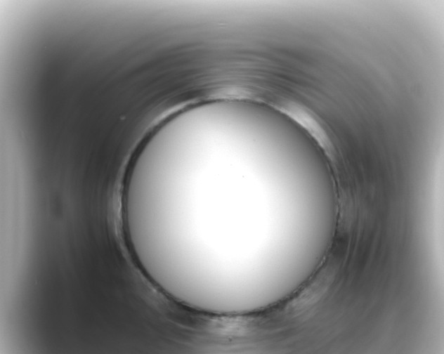 X0000089431000200706221208