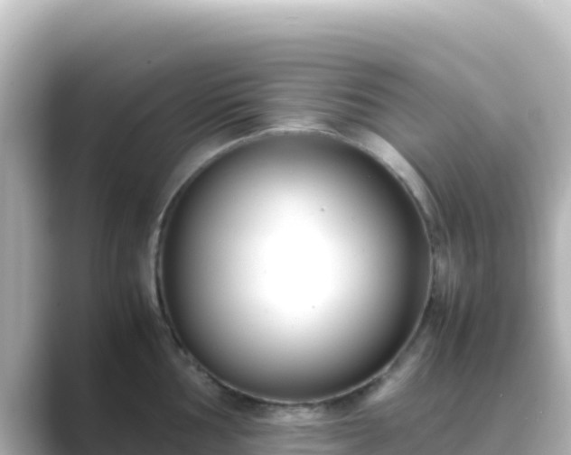 X0000089431002200706221208