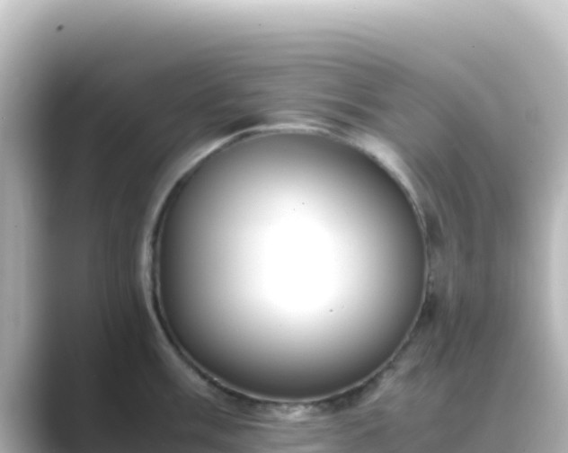 X0000089431003200706221208