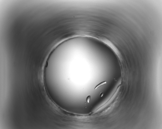X0000089431004200706221208