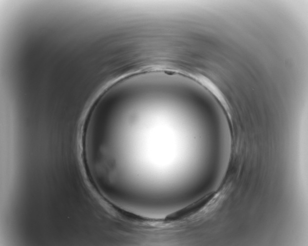 X0000089431005200706221208