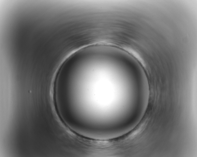 X0000089431007200706221208