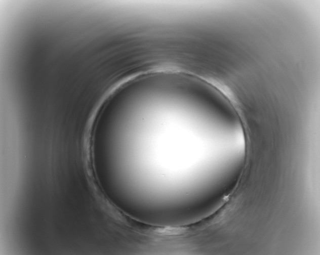 X0000089431008200706221208