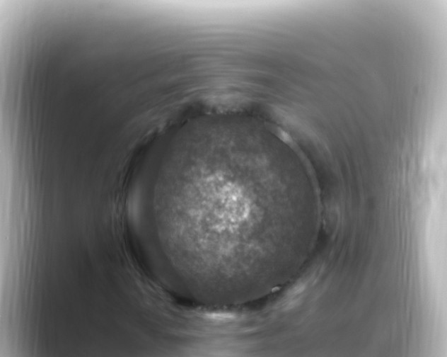 X0000089431010200706221207