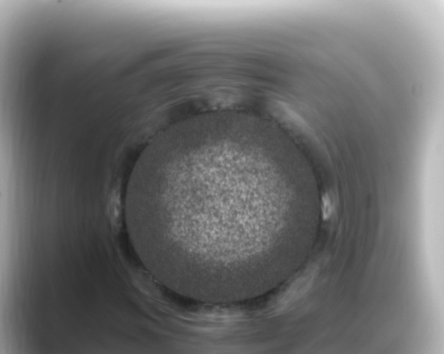 X0000089431011200706221207
