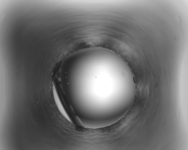 X0000089431012200706221207
