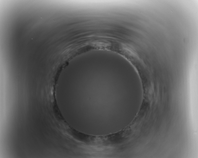 X0000089431013200706221207