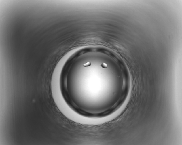 X0000089431014200706221207