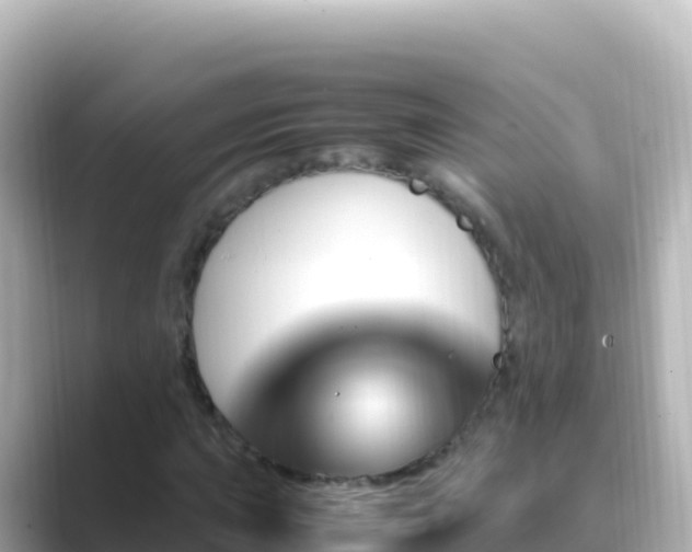 X0000089431015200706221207