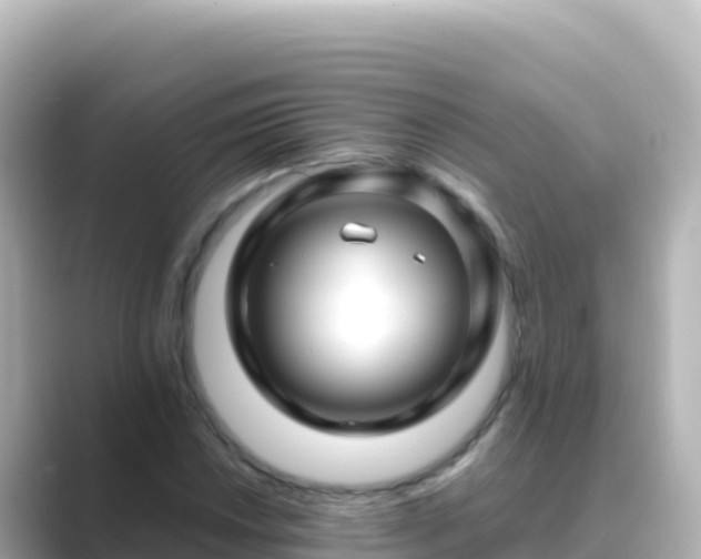 X0000089431018200706221207