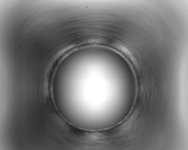 X0000089431019200706221207
