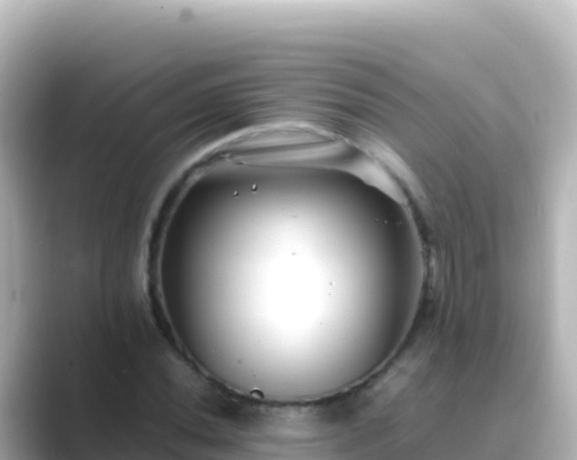 X0000089431020200706221207