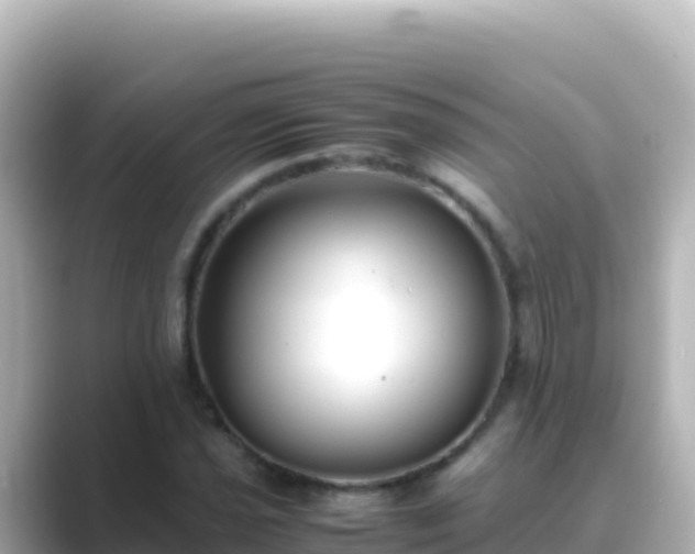 X0000089431021200706221207