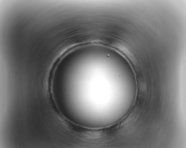 X0000089431023200706221207