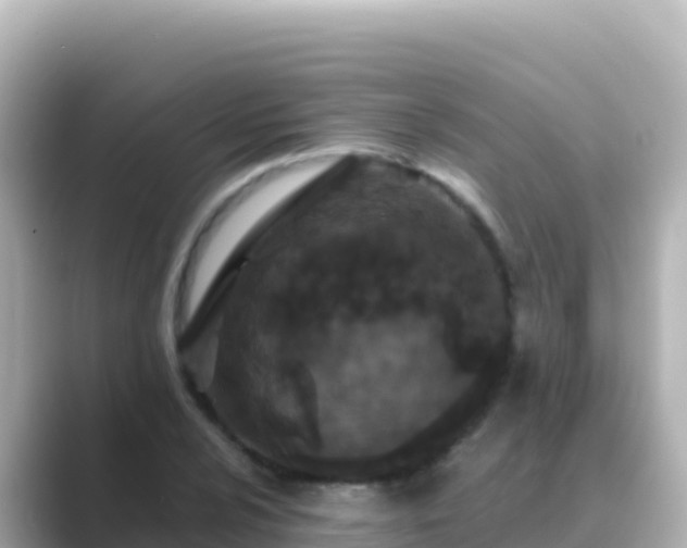 X0000089431024200706221207
