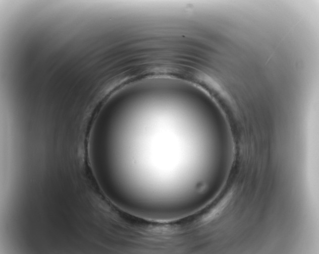 X0000089431025200706221207