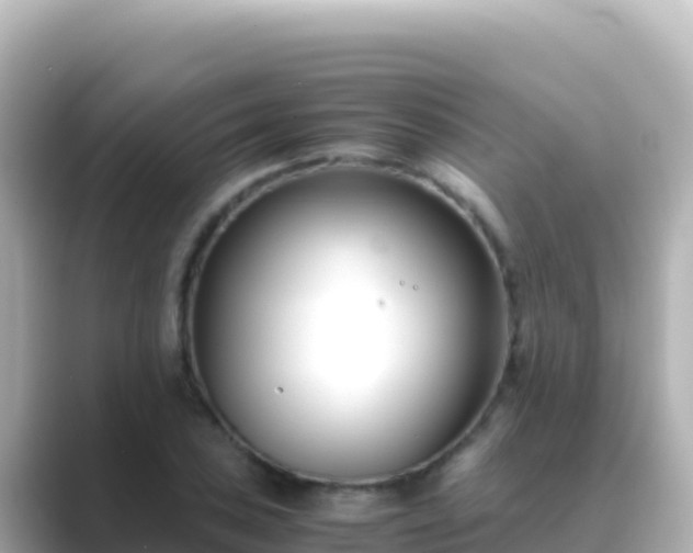X0000089431027200706221207