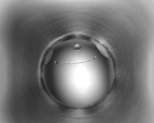 X0000089431028200706221207
