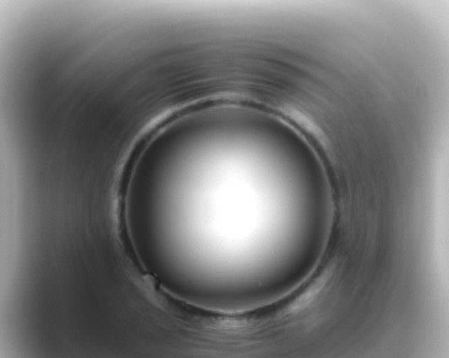 X0000089431029200706221207