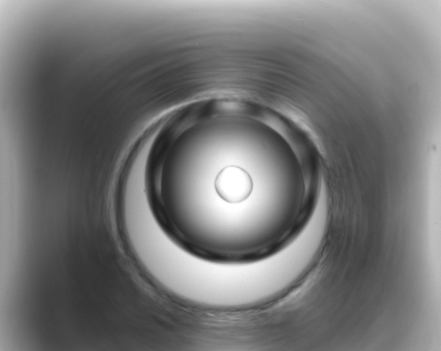 X0000089431030200706221207