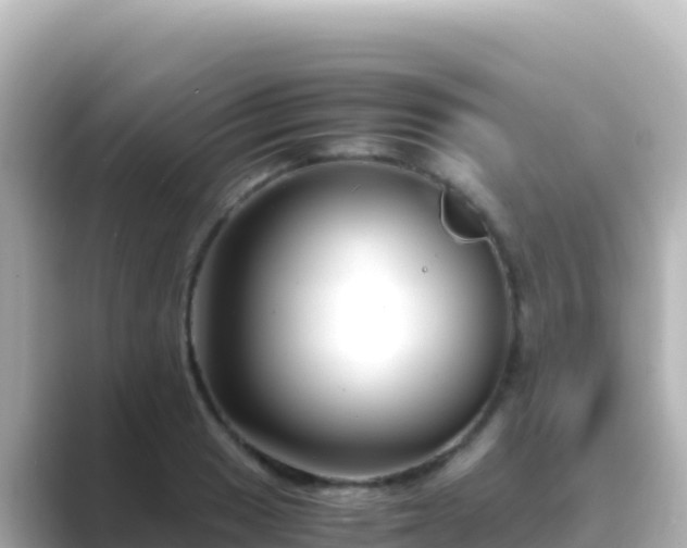 X0000089431033200706221207