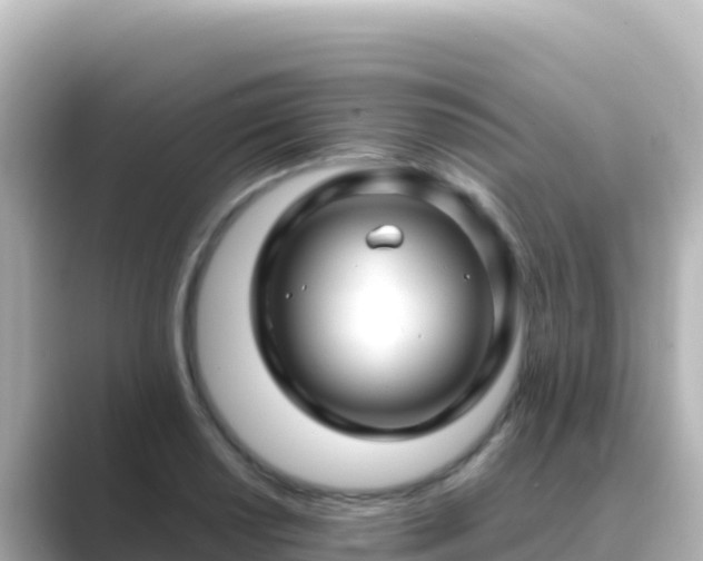 X0000089431034200706221207